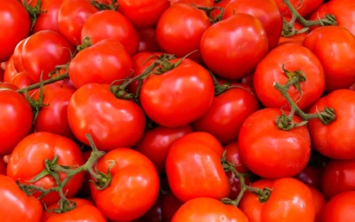 Is tomaat groente of fruit? De eeuwige discussie