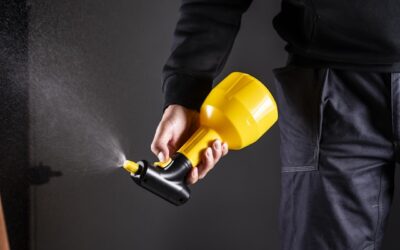 Ongedierte in huis: wat kun je zelf doen en wanneer schakel je hulp in?